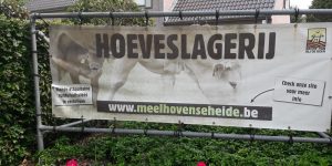 Bedrijfsbezoek  Van den Heuvel en Blommerschothoeve Belgie